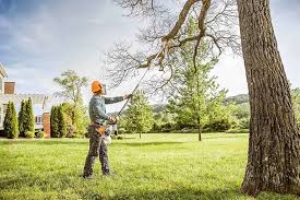  Bigfoot, TX Tree Removal Pros