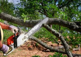 Best Weed Control  in Bigfoot, TX